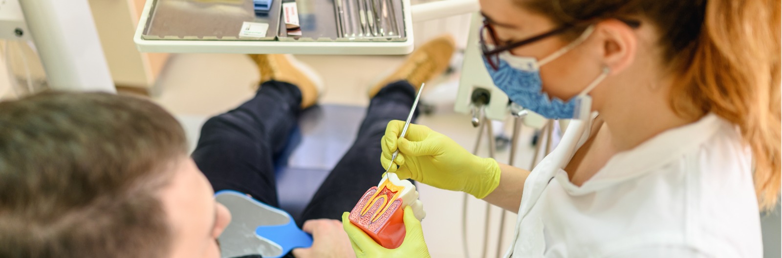 Hygienist demonstrates the cross section of a tooth model to a patient sitting in a dental chair